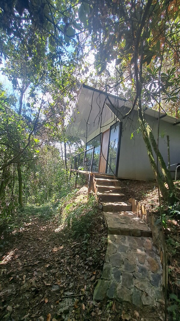 A stone staircase leading to a modern building with large windows, surrounded by dense foliage. - VÖRA Rainforest Hut and Panoramic View (La Vega)