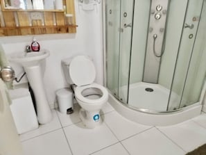 Shower, towels, soap, toilet paper