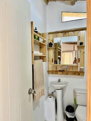 Shower, towels, soap, toilet paper