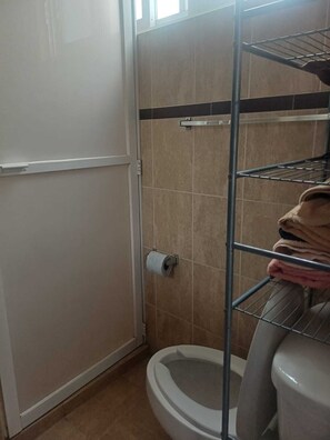Hair dryer, towels, soap, toilet paper - Central lodging for families or groups in Toluca (Toluca de Lerdo)