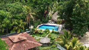 A pool surrounded by lush greenery, a thatched-roof structure, and a fenced area.