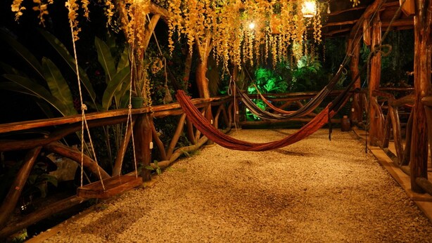 A hammock suspended between wooden beams, surrounded by hanging yellow flowers and greenery.