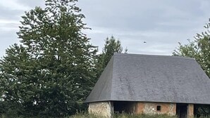 Een landelijk landschap met een schuur, een hinde in het veld en dichte bomen op de achtergrond.