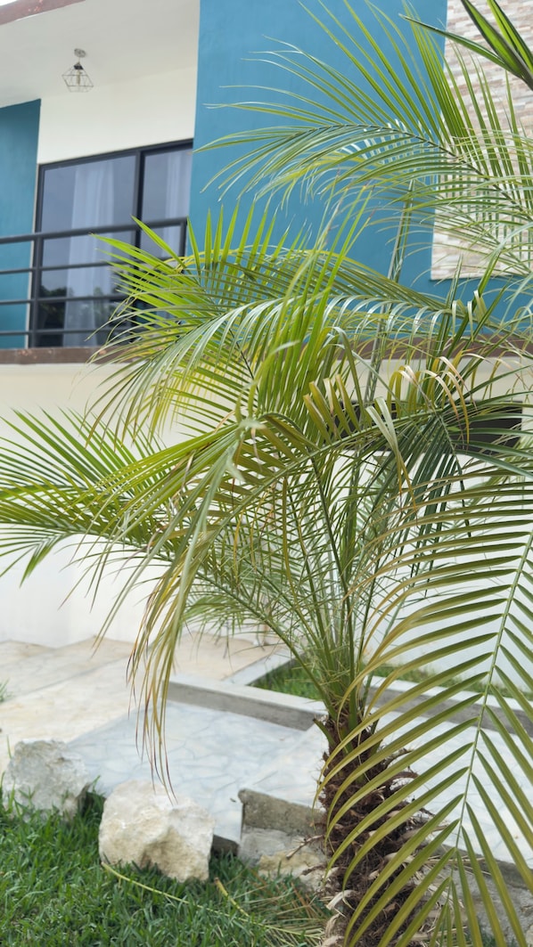 A palm tree in a courtyard with a building in the background.