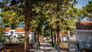 A pathway lined with trees leading to a building with a tiled roof. - Apartment F1 in Lumbarda with pool near beach (Lumbarda)