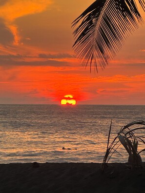 Beach - House surrounded by nature only 20 min from Jaco| Pet friendly | Swimming pool| Groups (Esterillos Oeste)