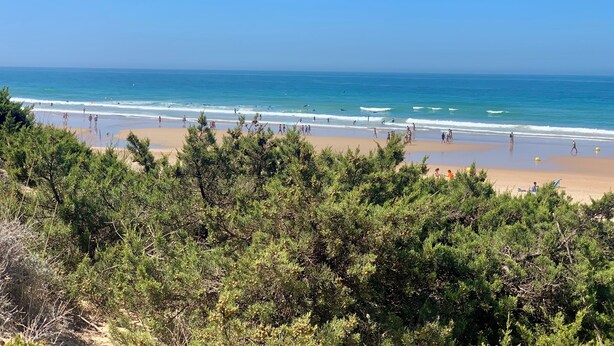 Een strand met heldere lucht, golven en mensen.