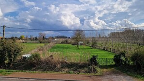 A rural landscape with fields, a fence, and a clear sky. - Ideal for professionals on assignment (Festubert)
