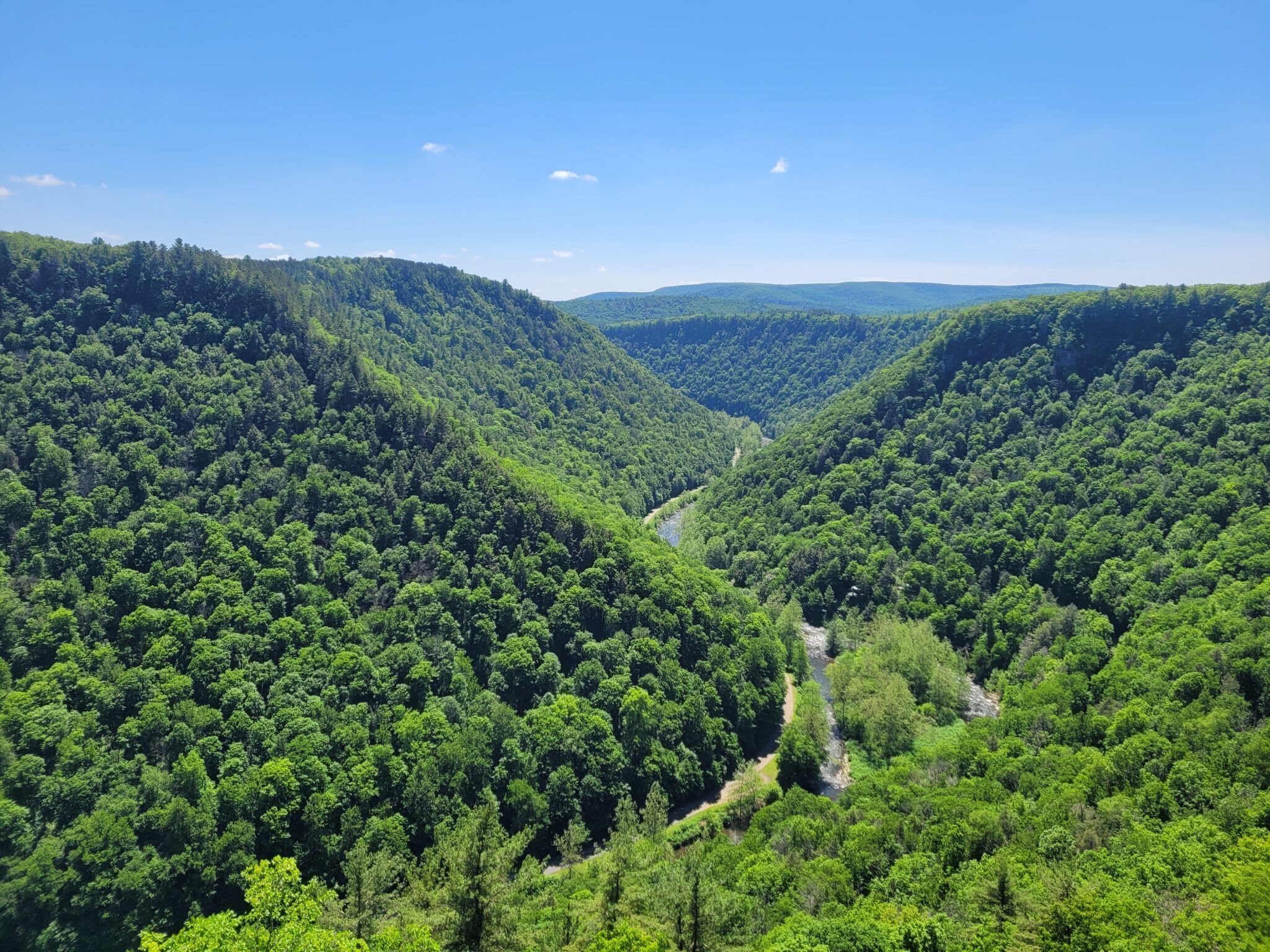 A forested valley with a river running through it.