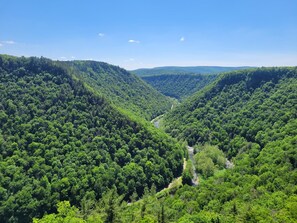 A forested valley with a river running through it. - Family Cabin in the heart of The Pennsylvania Grand Canyon (Wellsboro)