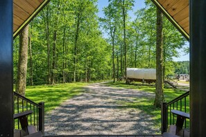 Property grounds - Family Cabin in the heart of The Pennsylvania Grand Canyon (Wellsboro)