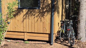 Un edificio de madera con una ventana, una bicicleta y un árbol.
