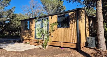 Tiny 2 pers 1 Ch, equipped kitchen, air conditioning; Swimming pool; between Mont Ventoux and Avignon