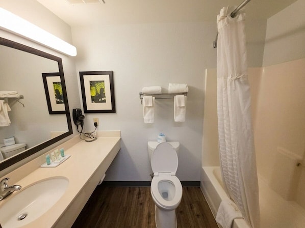 Hair dryer, towels, soap, toilet paper