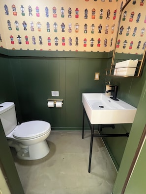 Shower, hair dryer, towels, toilet paper