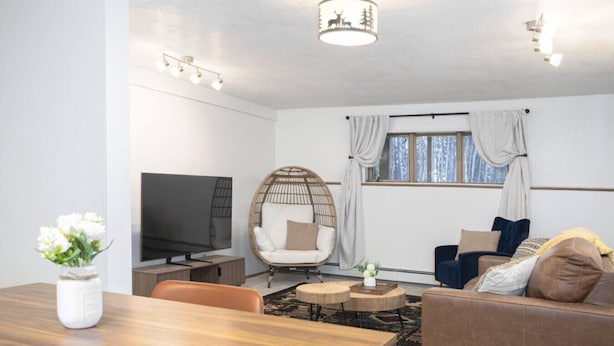 Un salon comprenant un téléviseur, un fauteuil rond en osier, un canapé et une table à manger.