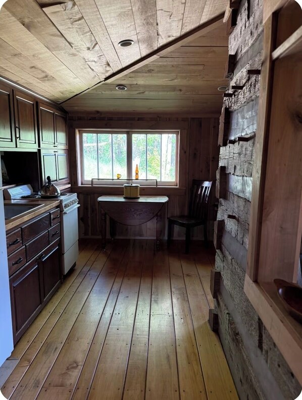 Fridge, microwave, oven, stovetop - Peace Cabin- 20 min hike to Wilson Cave! (Deputy)