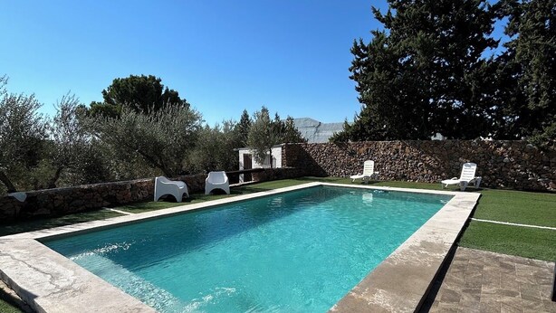 A rectangular swimming pool with a stone wall and a grassy area.