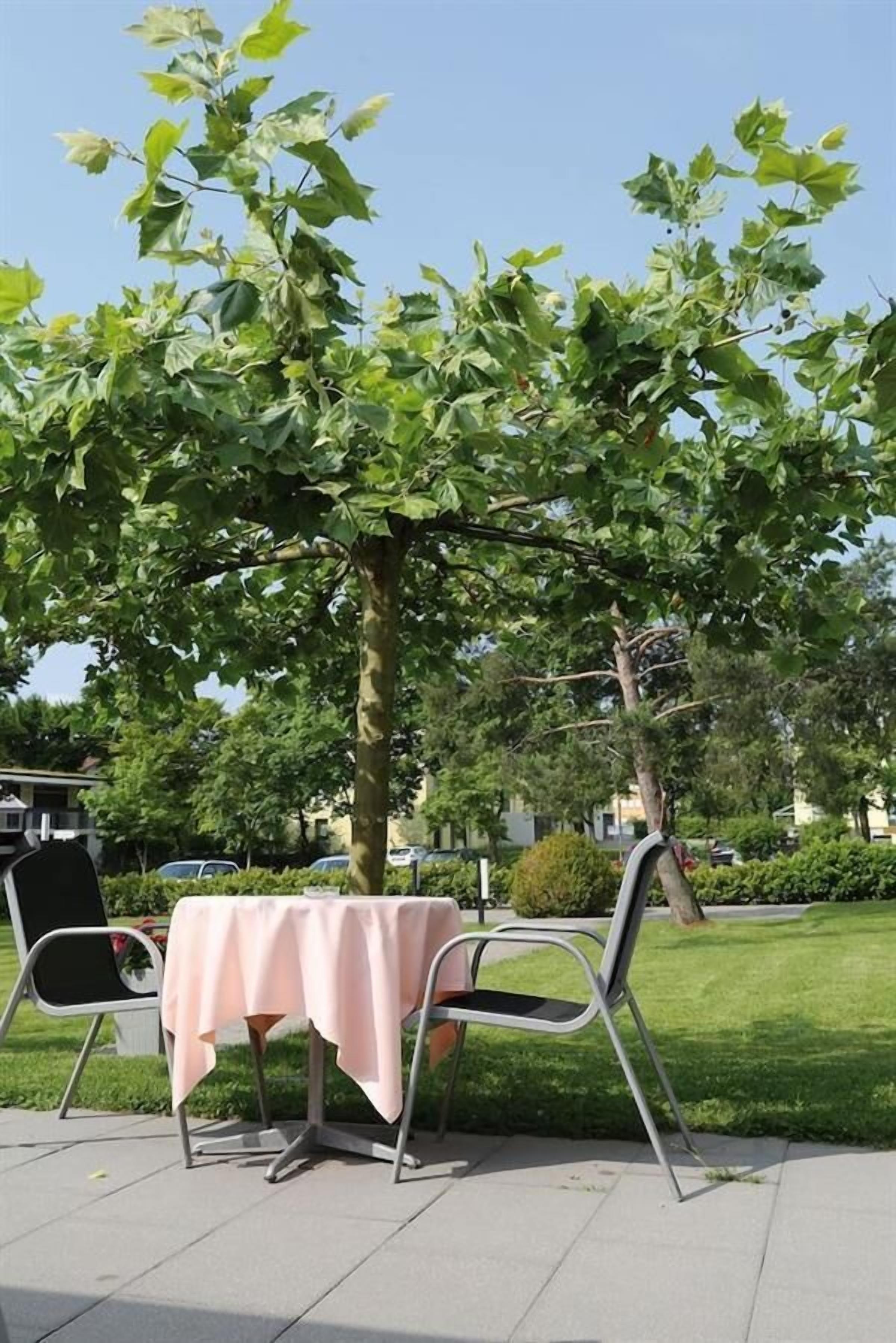 Speisen im Freien
