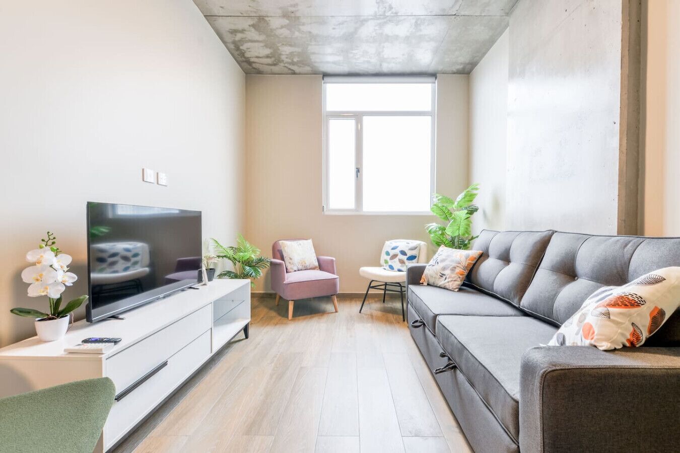 Un salon moderne avec un téléviseur à écran plat, un canapé gris, un fauteuil rose et une petite table sur laquelle est posée une plante.
