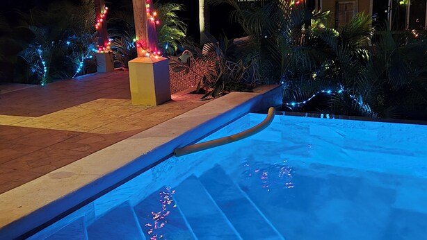 Une piscine éclairée de lumières bleues, entourée de plantes et agrémentée d’une pergola en bois décorée de guirlandes lumineuses.