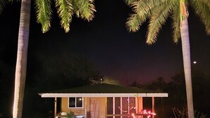 Une maison avec un chemin menant à l’entrée, entourée de palmiers et éclairée par un système d’éclairage artificiel.
