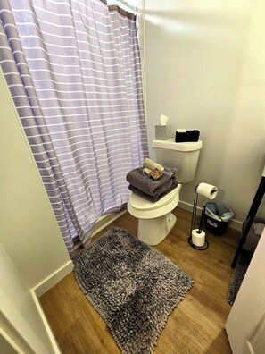 Hair dryer, towels, soap, toilet paper