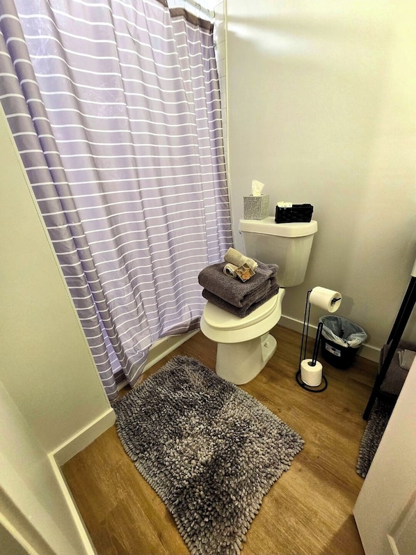 Hair dryer, towels, soap, toilet paper