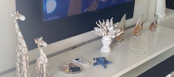 Luxurious and comfortable apartment