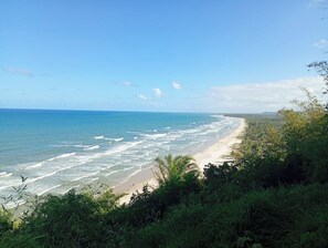 Ein Strand mit Wellen, einem sandigen Ufer und dichter Vegetation im Vordergrund.