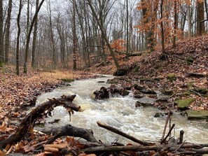 Miscellaneous - 4-bedroom farmhouse on 32 acres of private land with fishing pond and creek. (Freetown)