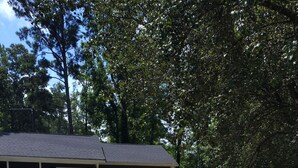 A house with a gravel driveway, a lawn, and a wooden deck. - Welcome to the Pool House Retreat! (Jonesboro)