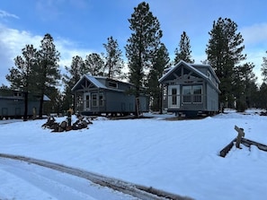 Exterior - Luxury Cabin with Mountain View 3B (Williams)
