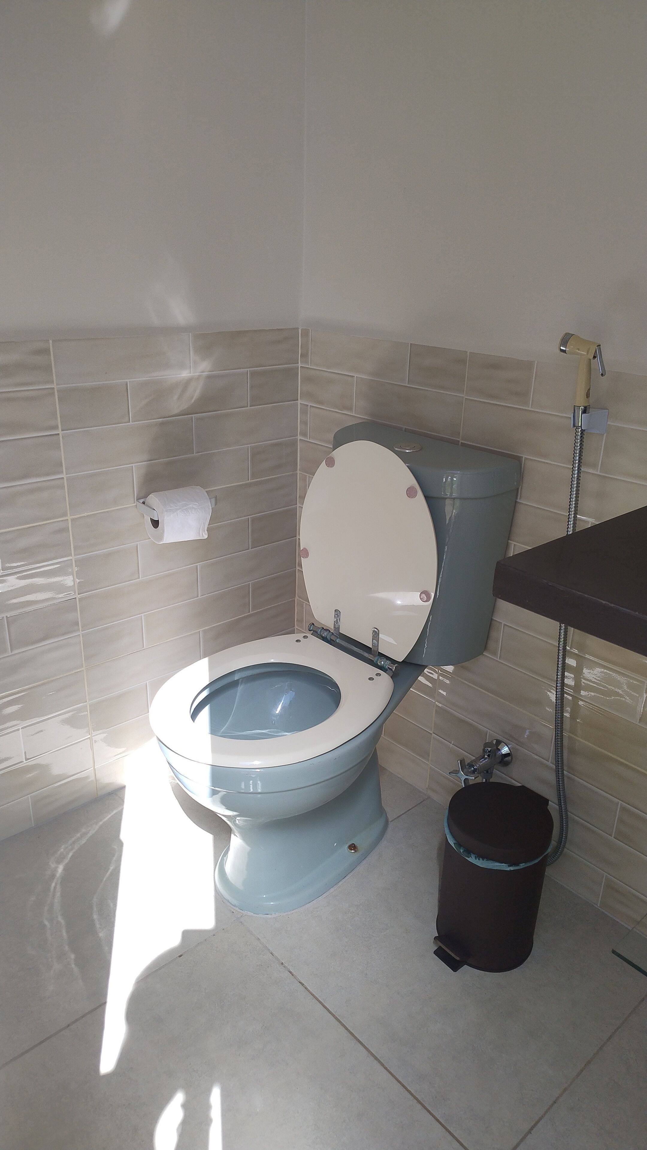 シャワー、石鹸、トイレットペーパー