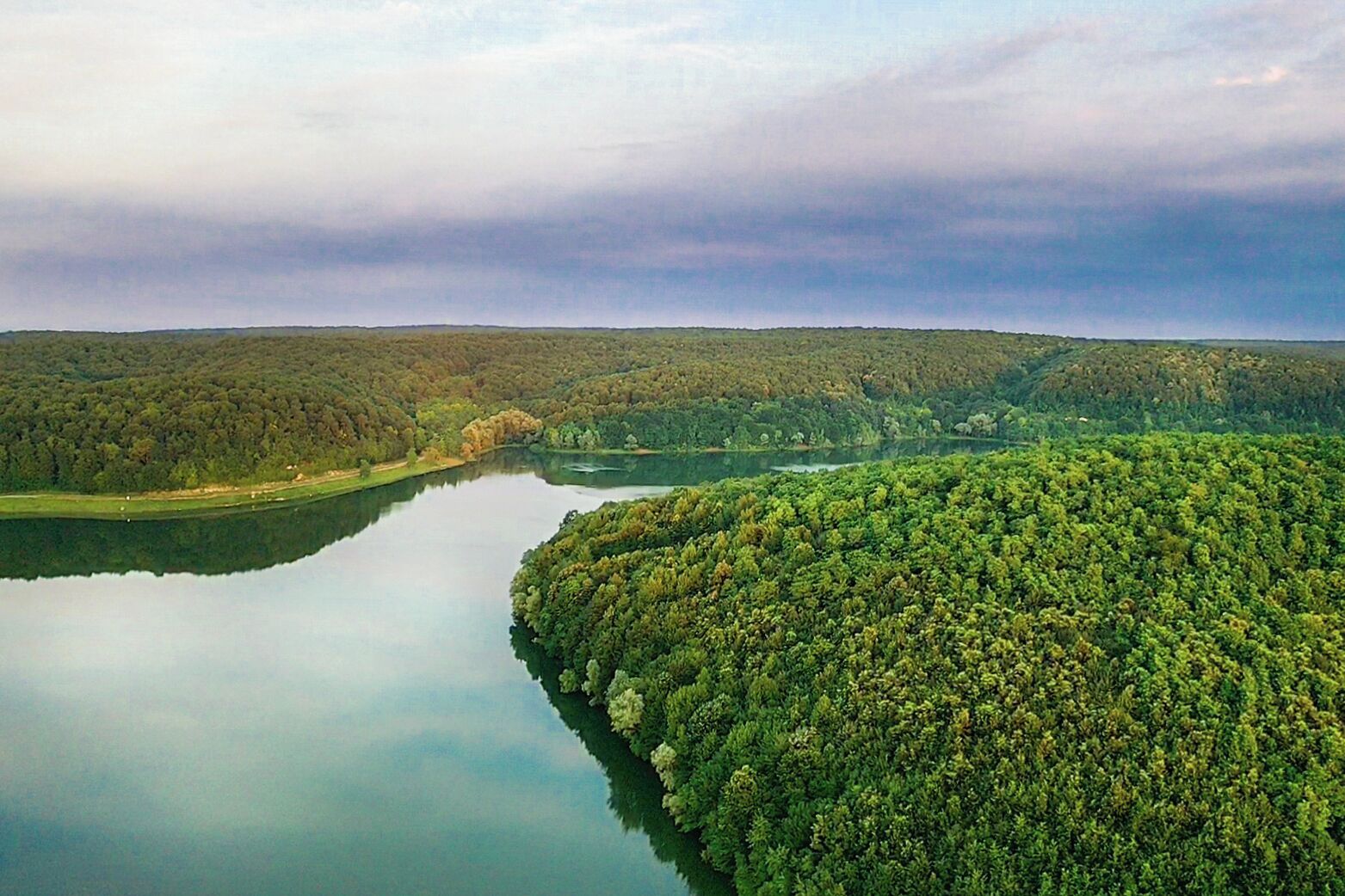 Paesaggio boscoso con un lago e una riva curvilinea.