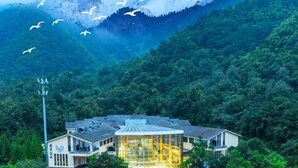 Un bâtiment moderne à la façade vitrée, entouré d’une forêt dense et avec une montagne en arrière-plan.