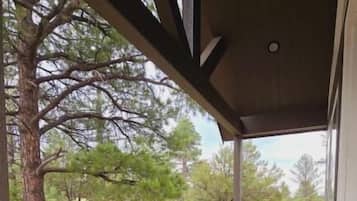 Luxury Cabin, 1 King Bed, Non Smoking, Mountain View | Terrace/patio