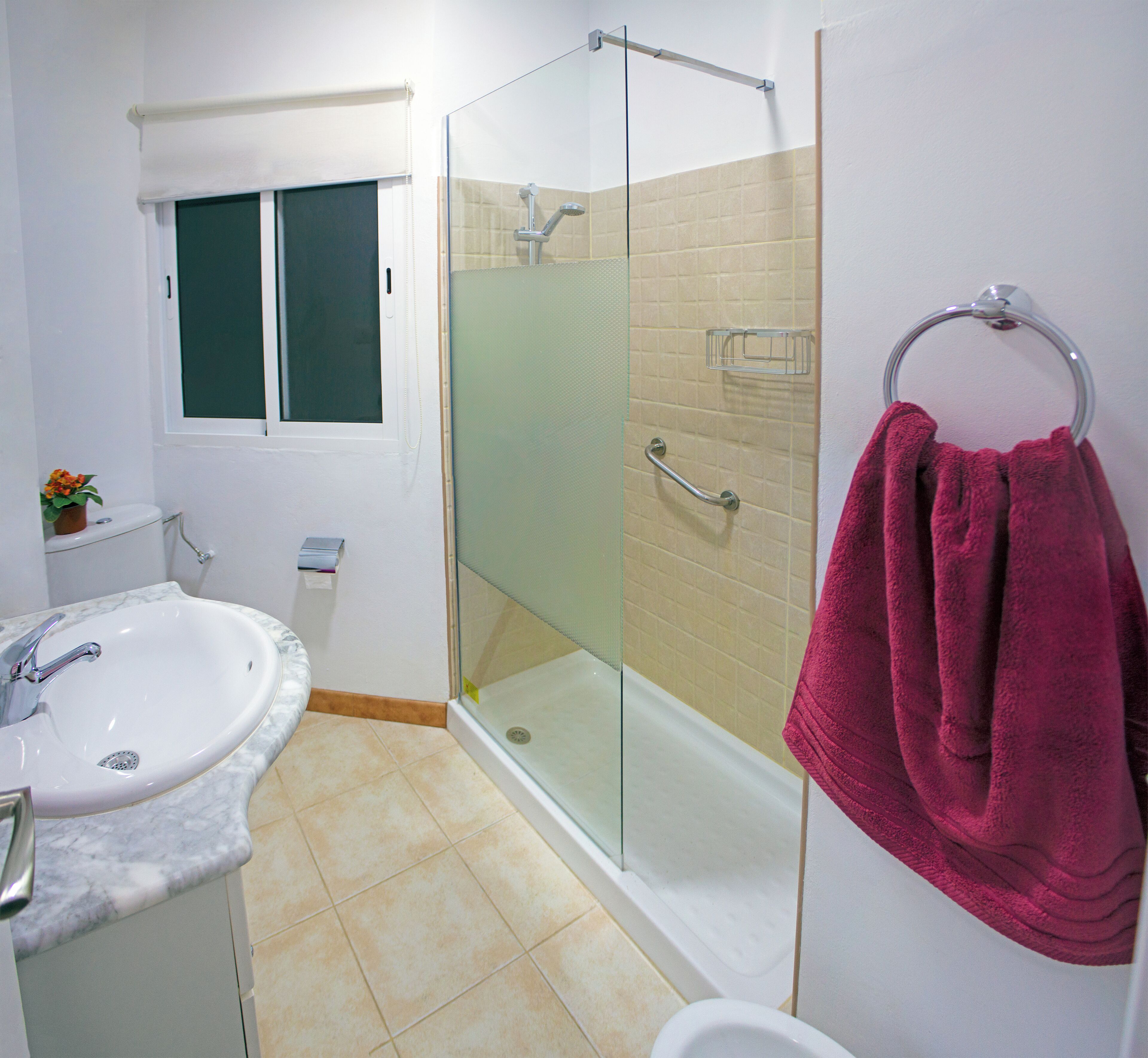 Shower, hair dryer, bidet, towels
