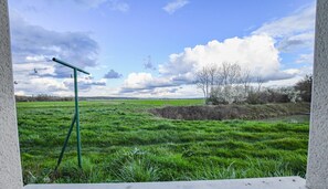 Property grounds - Les Demeures d'Ines - FOUCHERES (FOUCHERES)