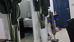 Ein Zimmer mit einem Bett, einem Schreibtisch, einem Computer, einer blauen Tür und großen Kübelpflanzen.