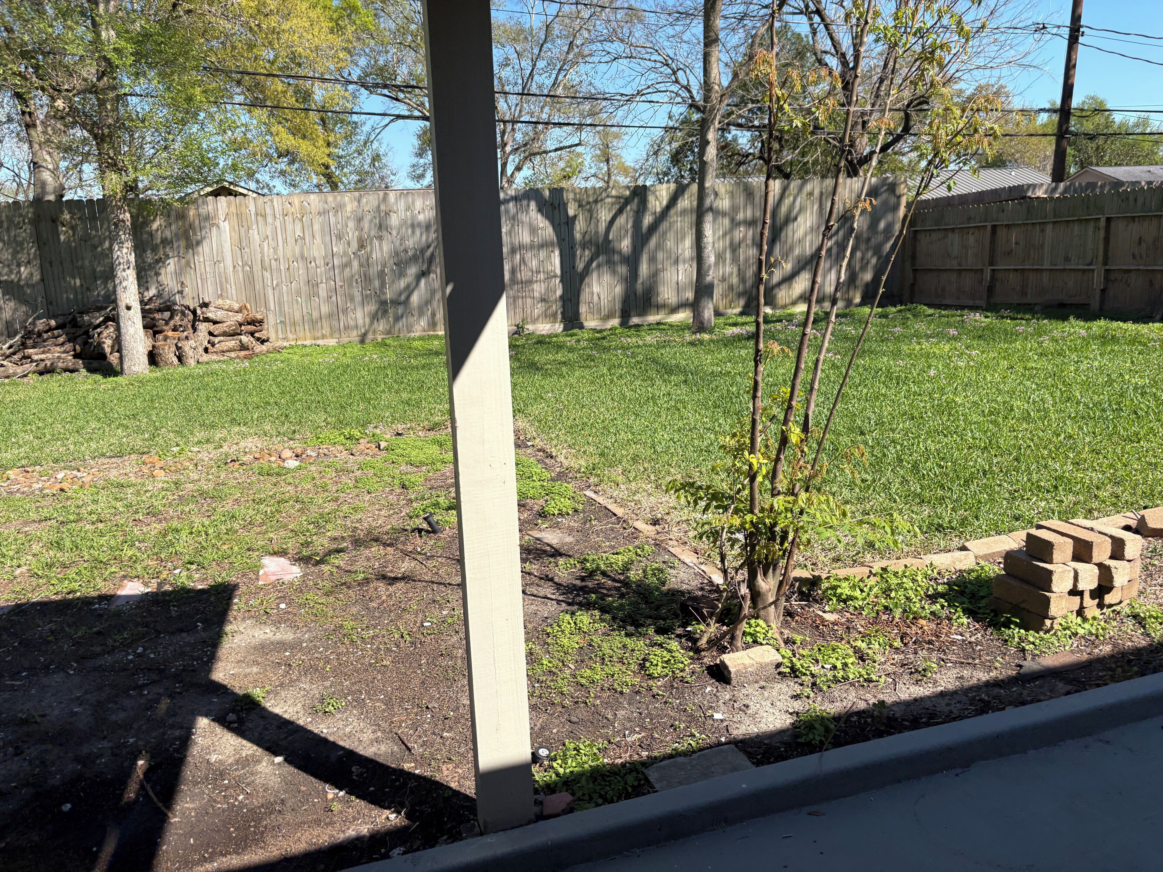 A backyard with a wooden fence, a small tree, and a brick border.