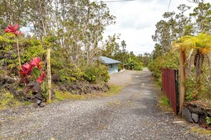A gravel driveway leading to a small building with a blue roof, surrounded by lush vegetation and a wooden fence.