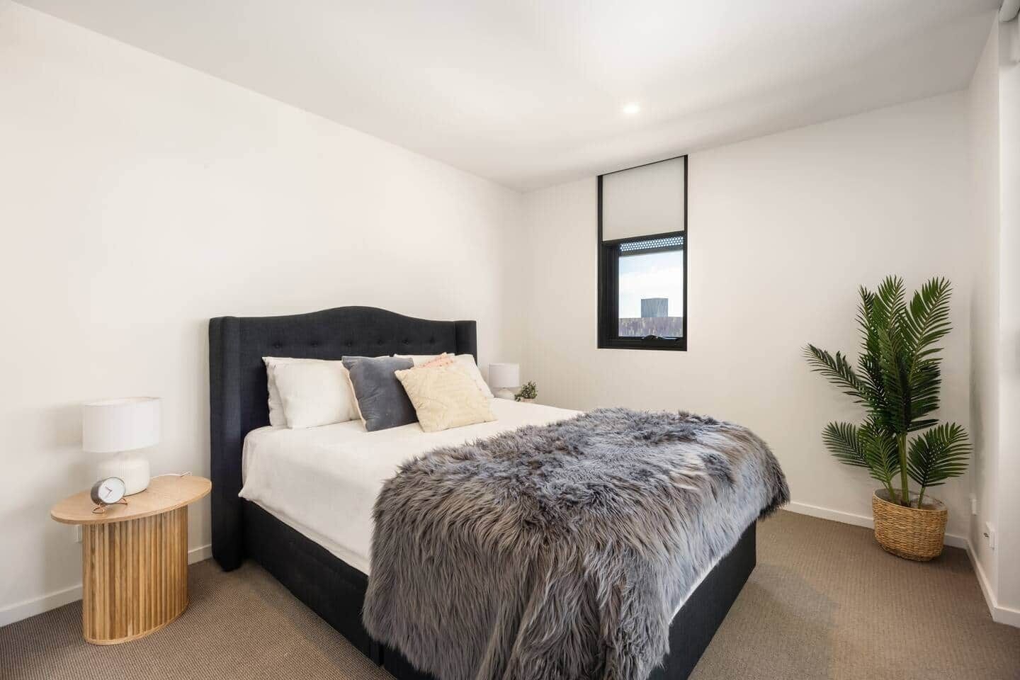 A modern bedroom with a dark headboard, a large bed, a bedside table with a lamp, a small clock, and a potted plant.