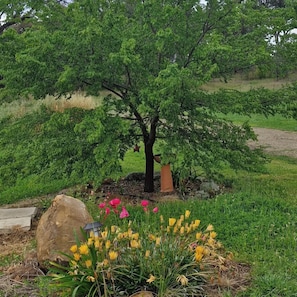 A tree with a large rock and yellow flowers in the foreground, surrounded by green grass and a fence in the background.