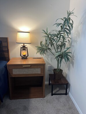 Interior - The Mandarin Hideaway, Games, Firepit, Sleeps 5 (Jacksonville)