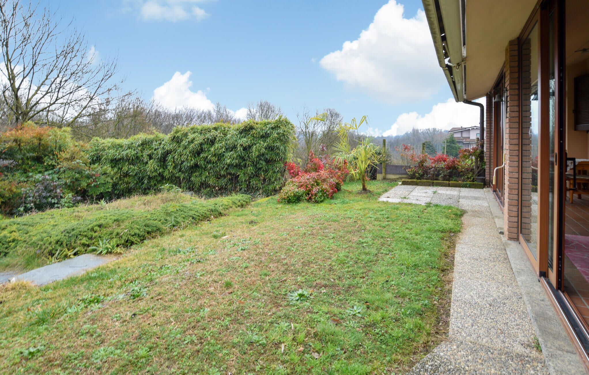 Un jardin résidentiel agrémenté d’un chemin pavé, d’une haie et de diverses espèces d’arbustes et d’arbres.