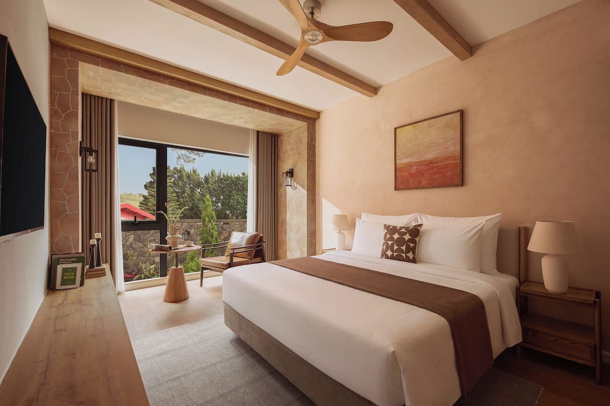 Deluxe Room | Minibar, in-room safe, iron/ironing board, free WiFi