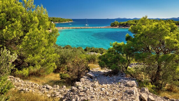 A coastal landscape with clear turquoise waters, rocky terrain, and dense green pine trees. - Holiday Apartment APARTMENT EMANUEL (4+1) (Vodice)