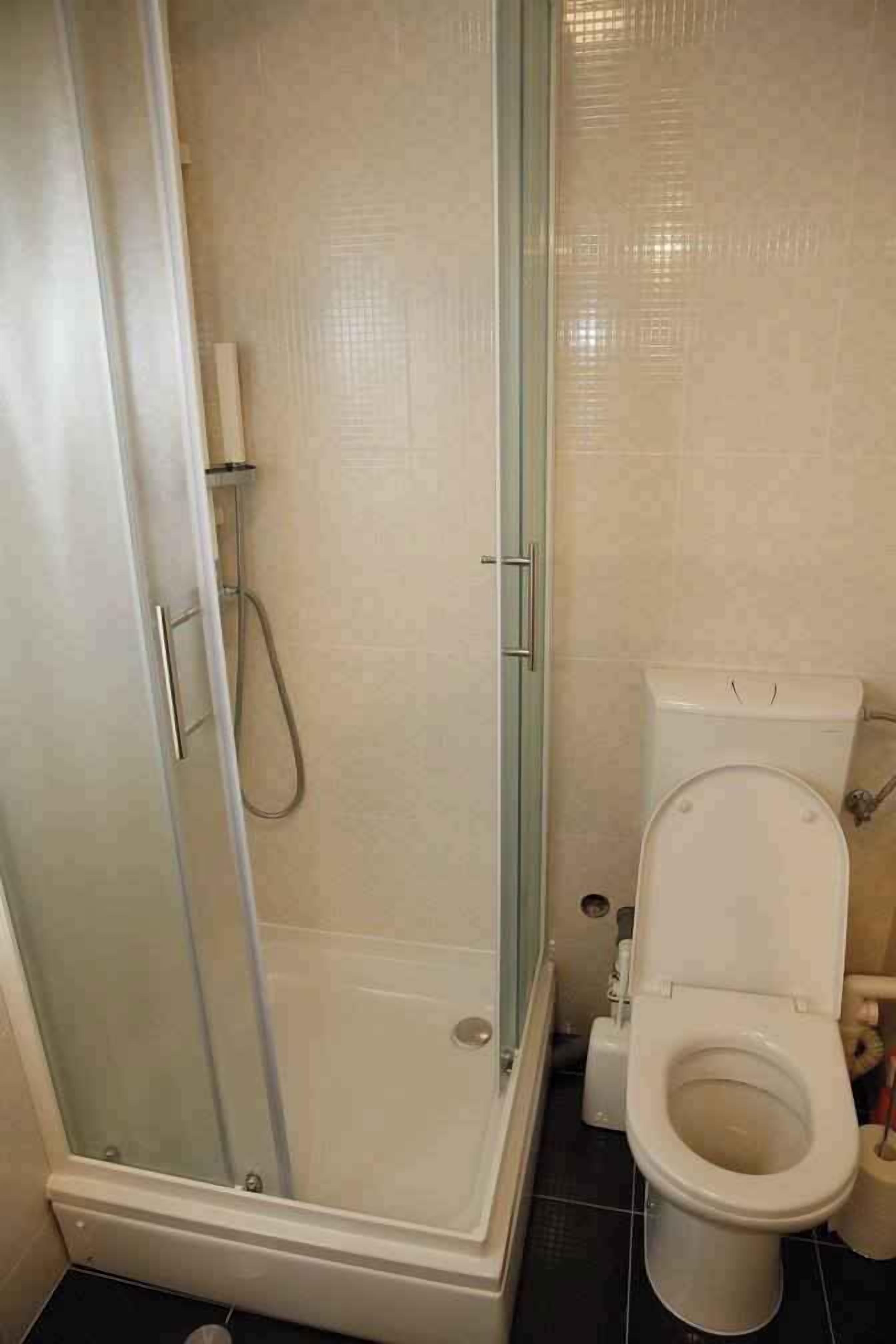 Een badkamer met een douchecabine, een toilet en een wastafel.