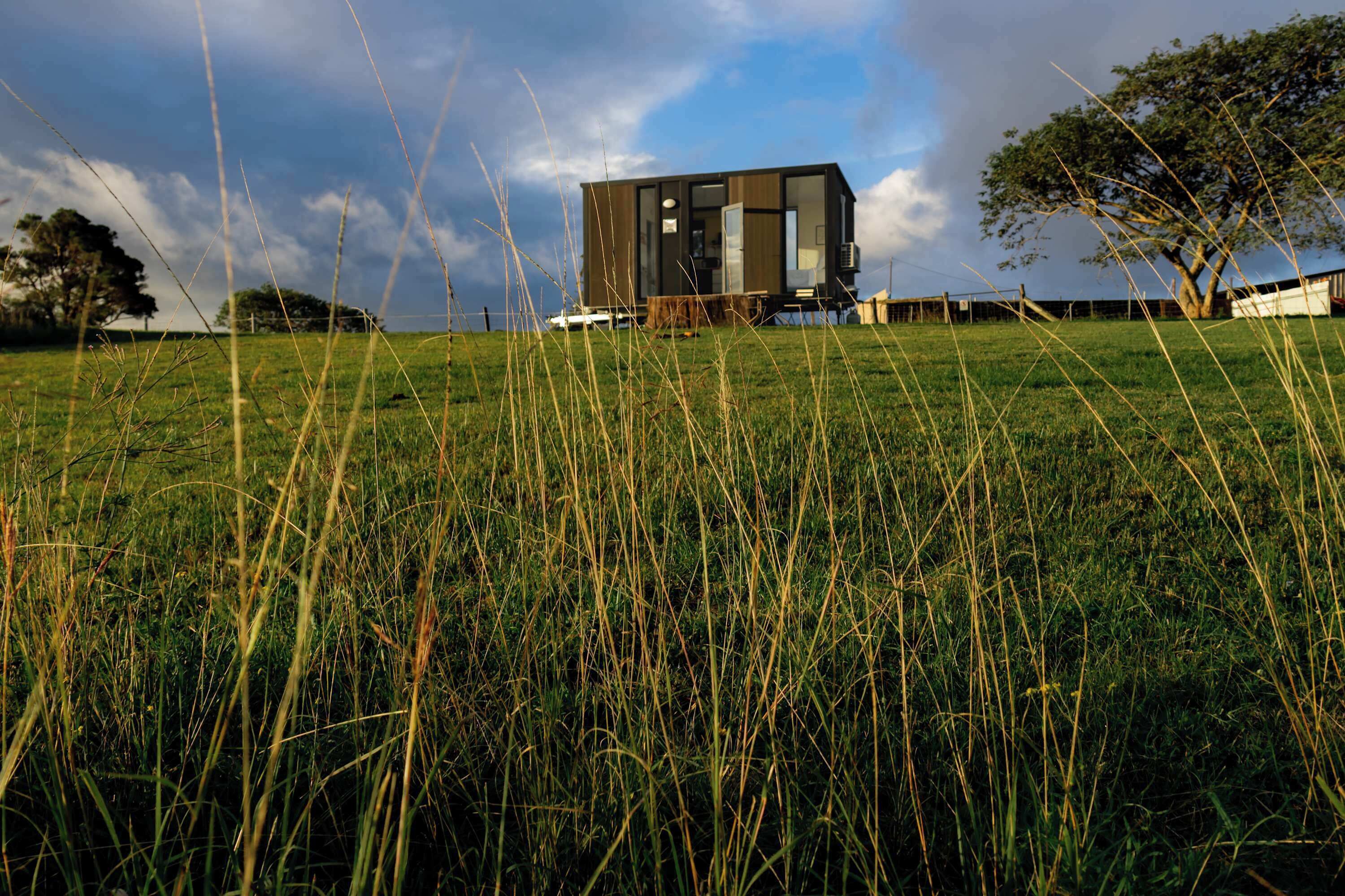 Een modern, gelijkvloers gebouw met een plat dak, omringd door een grasveld en een grote boom.